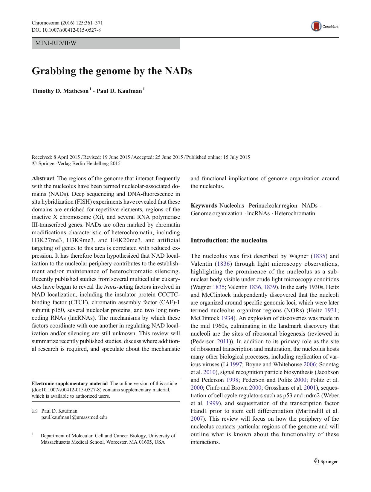 Grabbing the genome by the NADs by Timothy D. Matheson & Paul D. Kaufman