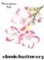 Grace for Grace by Watchman Nee