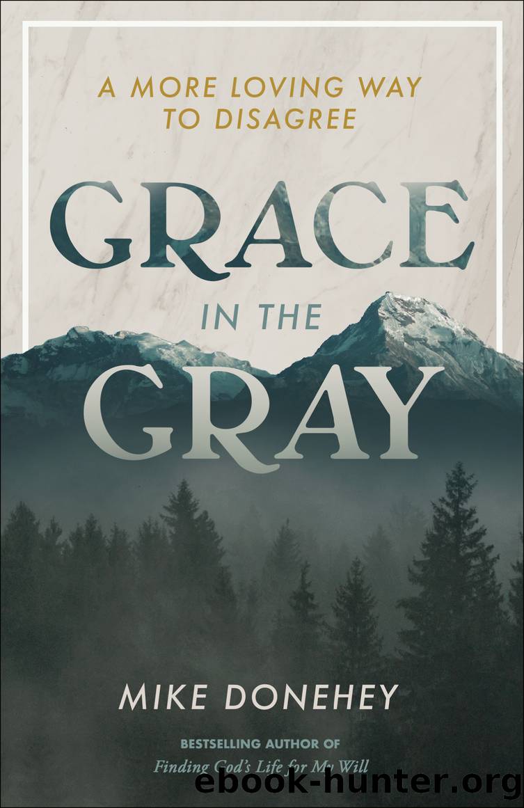 Grace in the Gray by Mike Donehey