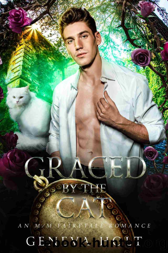 Graced by the Cat: An MM Fairytale Romance (Once Upon a Time) by Geneva Holt