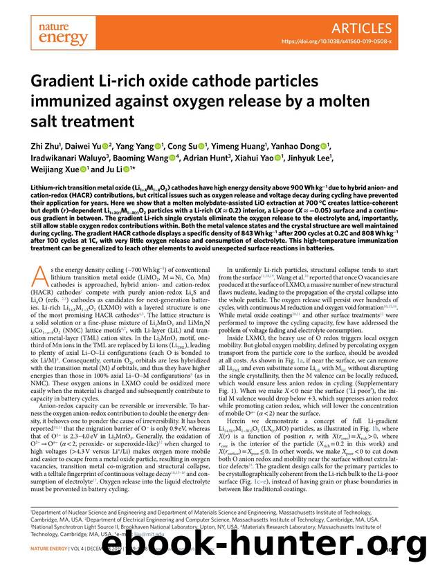 Gradient Li-rich oxide cathode particles immunized against oxygen release by a molten salt treatment by unknow