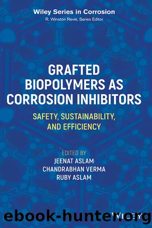 Grafted Biopolymers as Corrosion Inhibitors (for True Epub): Safety, Sustainability, and Efficiency by Jeenat Aslam & Chandrabhan Verma & Ruby Aslam