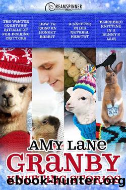 Granby Knitting Stories by Amy Lane