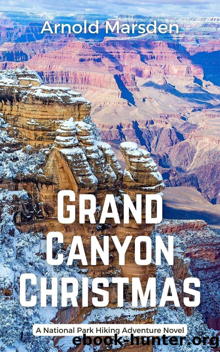 Grand Canyon Christmas by Arnold Marsden