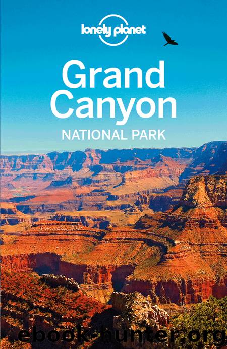Grand Canyon National Park Travel Guide by Lonely Planet