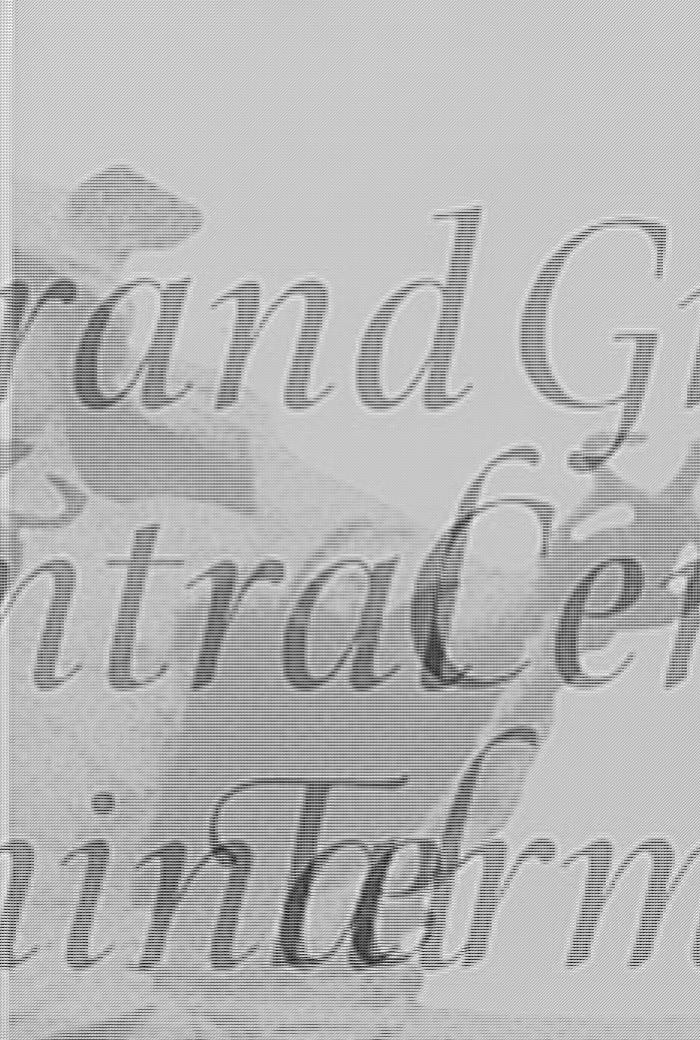 Grand Central Terminal: Railroads, Engineering, and Architecture in New York City by Professor Kurt C. Schlichting PhD