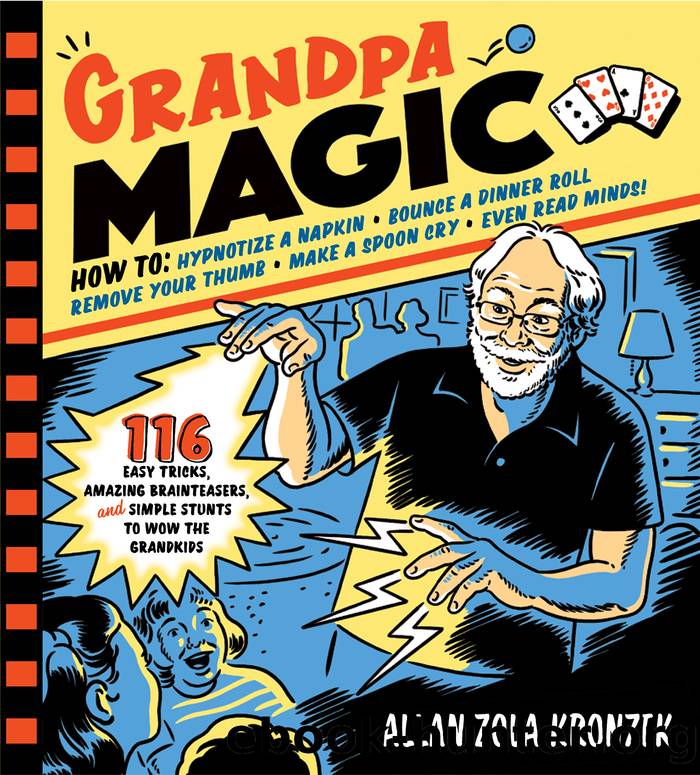 Grandpa Magic by Allan Zola Kronzek
