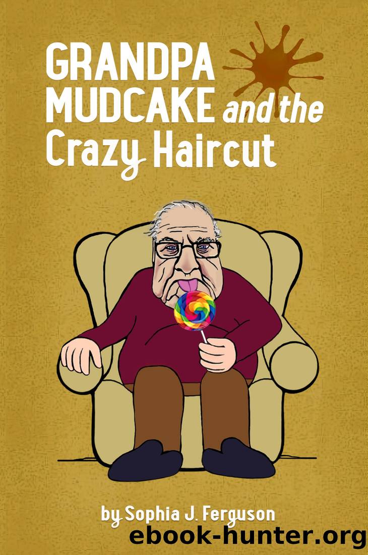 Grandpa Mudcake and the Crazy Haircut by Sophia J. Ferguson