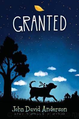 Granted by John David Anderson