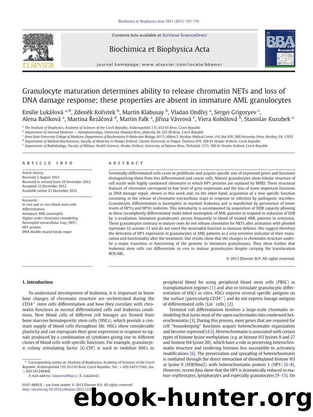 Granulocyte maturation determines ability to release chromatin NETs and loss of DNA damage response; these properties are absent in immature AML granulocytes by unknow