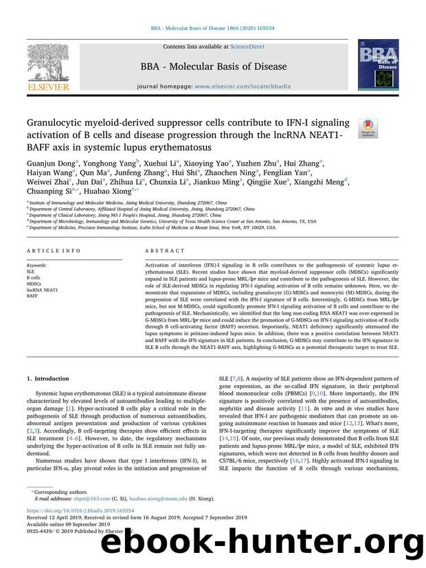 Granulocytic myeloid-derived suppressor cells contribute to IFN-I signaling activation of B cells and disease progression through the lncRNA NEAT1-BAFF axis in systemic lupus erythematosus by unknow