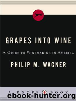 Grapes into Wine by Philip M. Wagner
