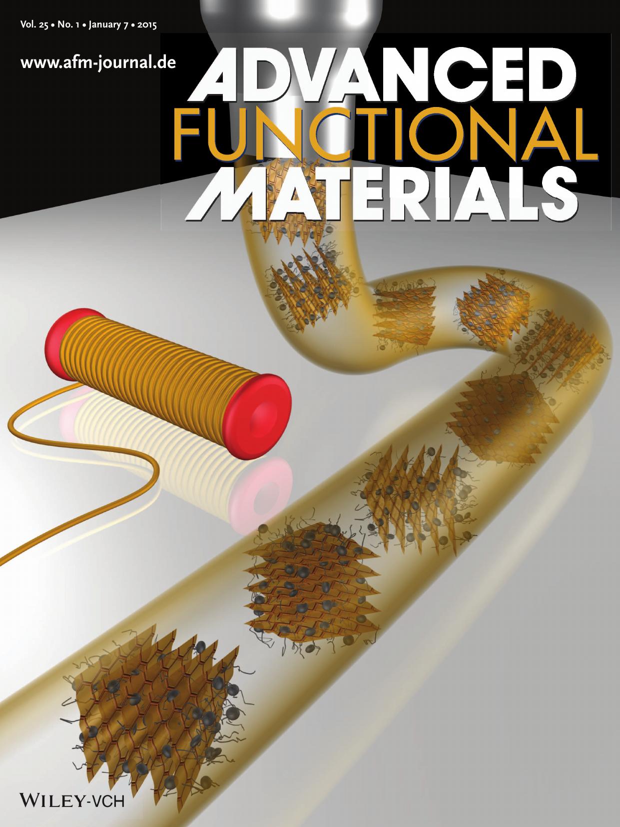 Graphene Oxide: Achieving Outstanding Mechanical Performance in Reinforced Elastomeric Composite Fibers Using Large Sheets of Graphene Oxide (Adv. Funct. Mater. 1/2015) by Unknown