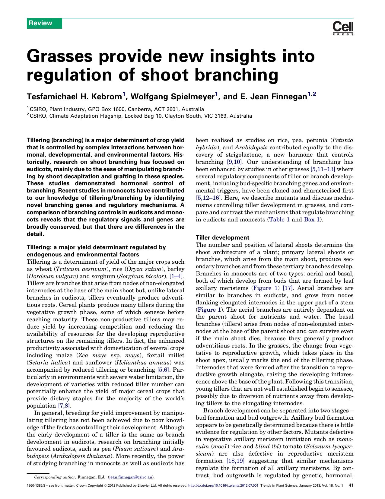 Grasses provide new insights into regulation of shoot branching by Tesfamichael H. Kebrom