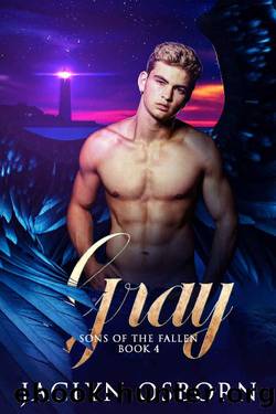 Gray (Sons of the Fallen Book 4) by Jaclyn Osborn