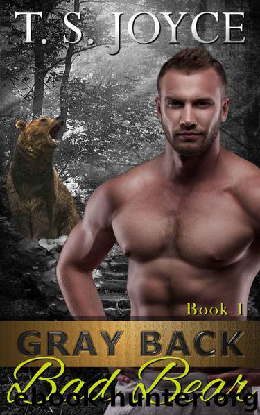 Gray Back Bad Bear by Joyce T. S