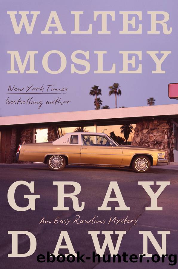 Gray Dawn by Walter Mosley