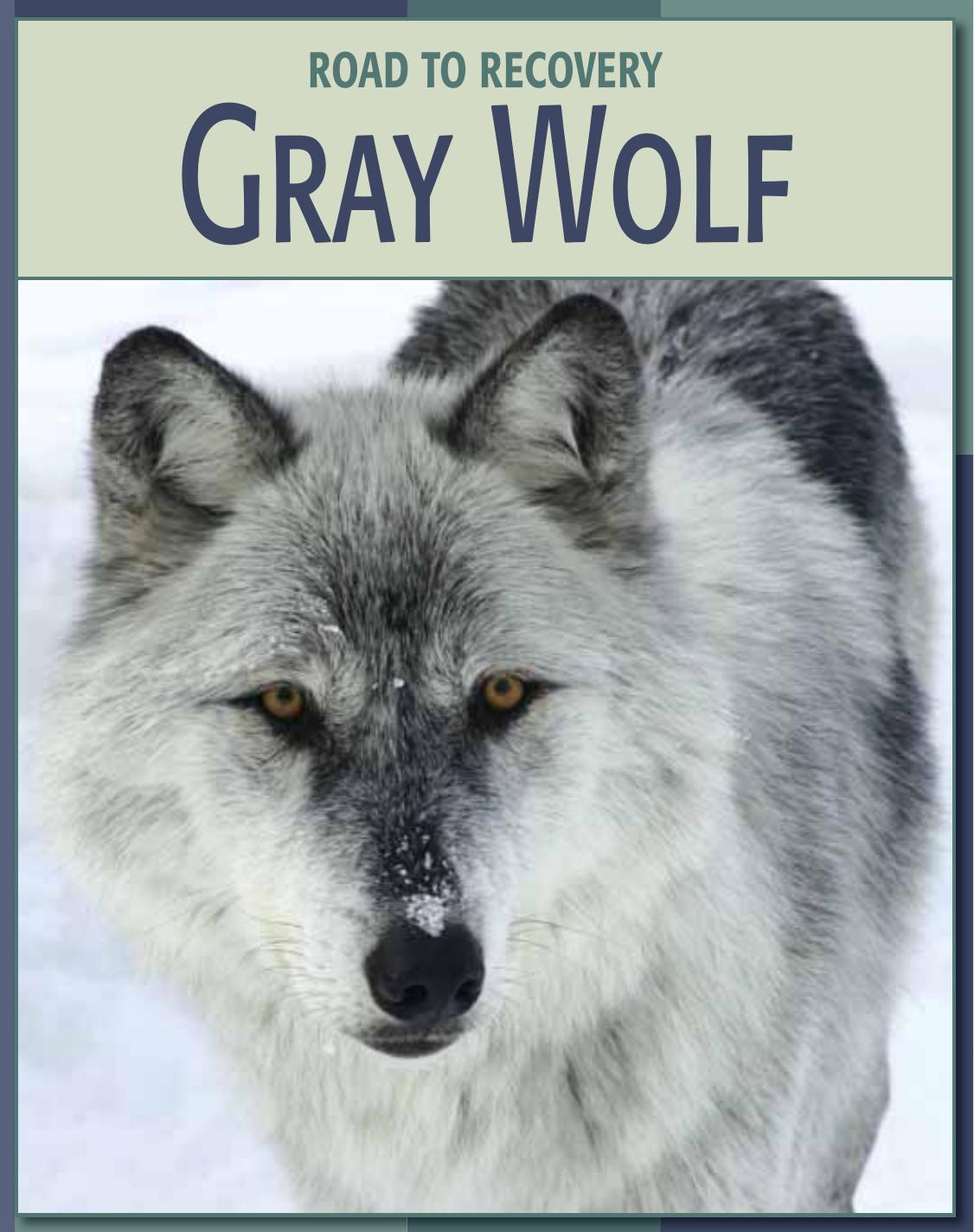 Gray Wolf by Barbara A. Somervill Ed Bangs