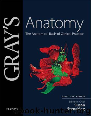 Gray's Anatomy E-Book by Unknown