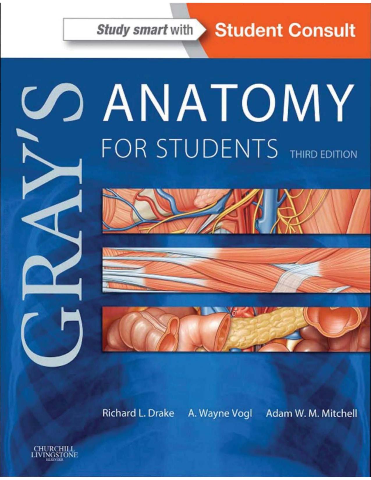 Gray's Anatomy For Students, 3rd Edition.pdf by user