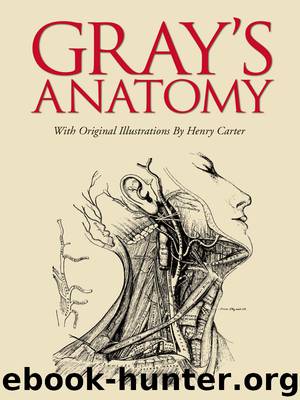 Gray's Anatomy by Henry Gray