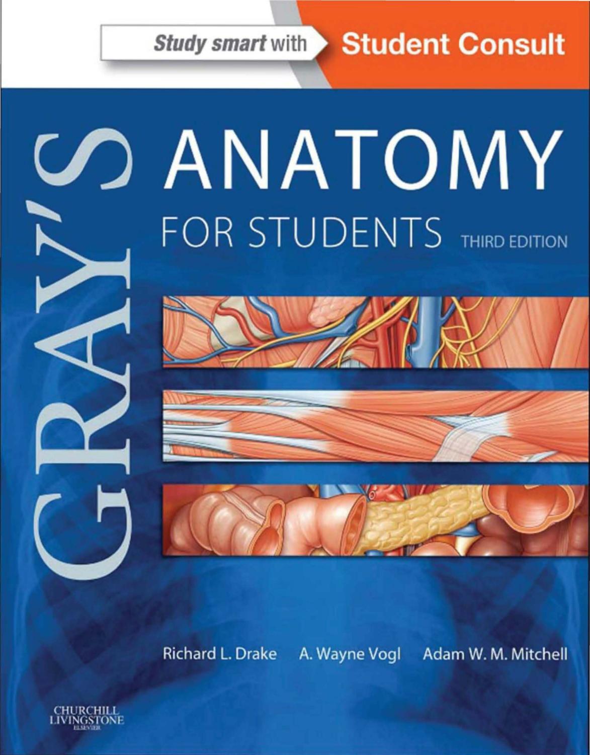Gray's Anatomy for Students 3rd Ed by unknow