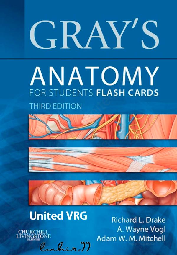 Gray's Anatomy for Students Flash Cards: with STUDENT CONSULT Online Access by Richard L. Drake PhD FAAA