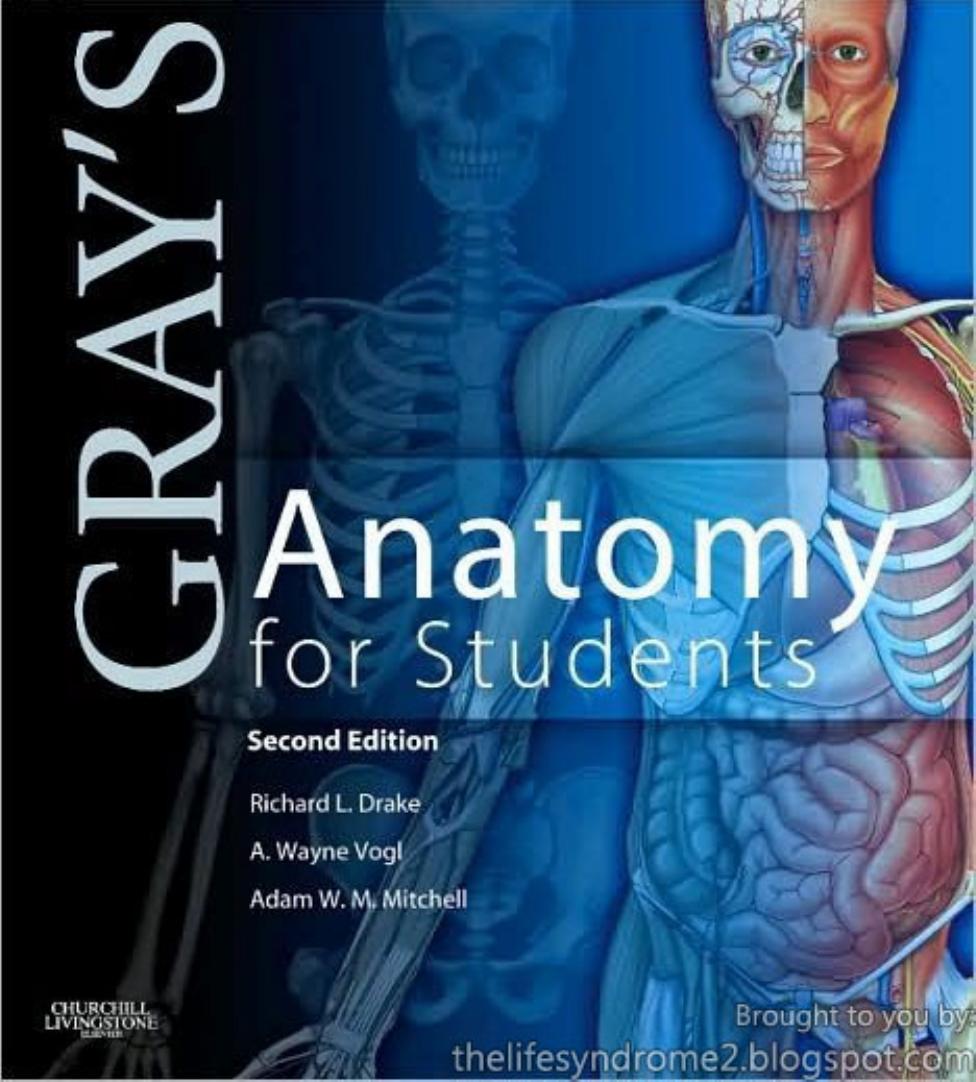 Gray's Anatomy for Students, 2nd Edition by Richard L. Drake A. Wayne Vogl Adam W. M. Mitchell