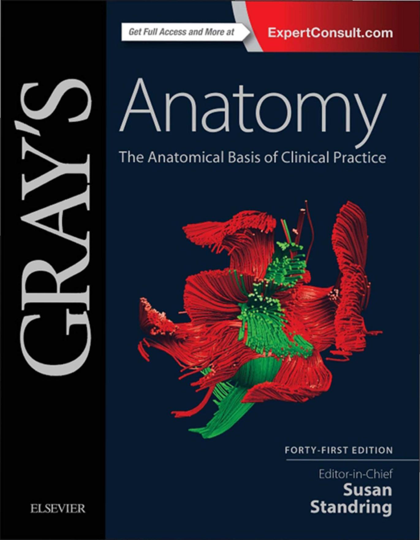 Gray's Anatomy. The Anatomical Basis of Clinical Practice. Part 1 by Standring S