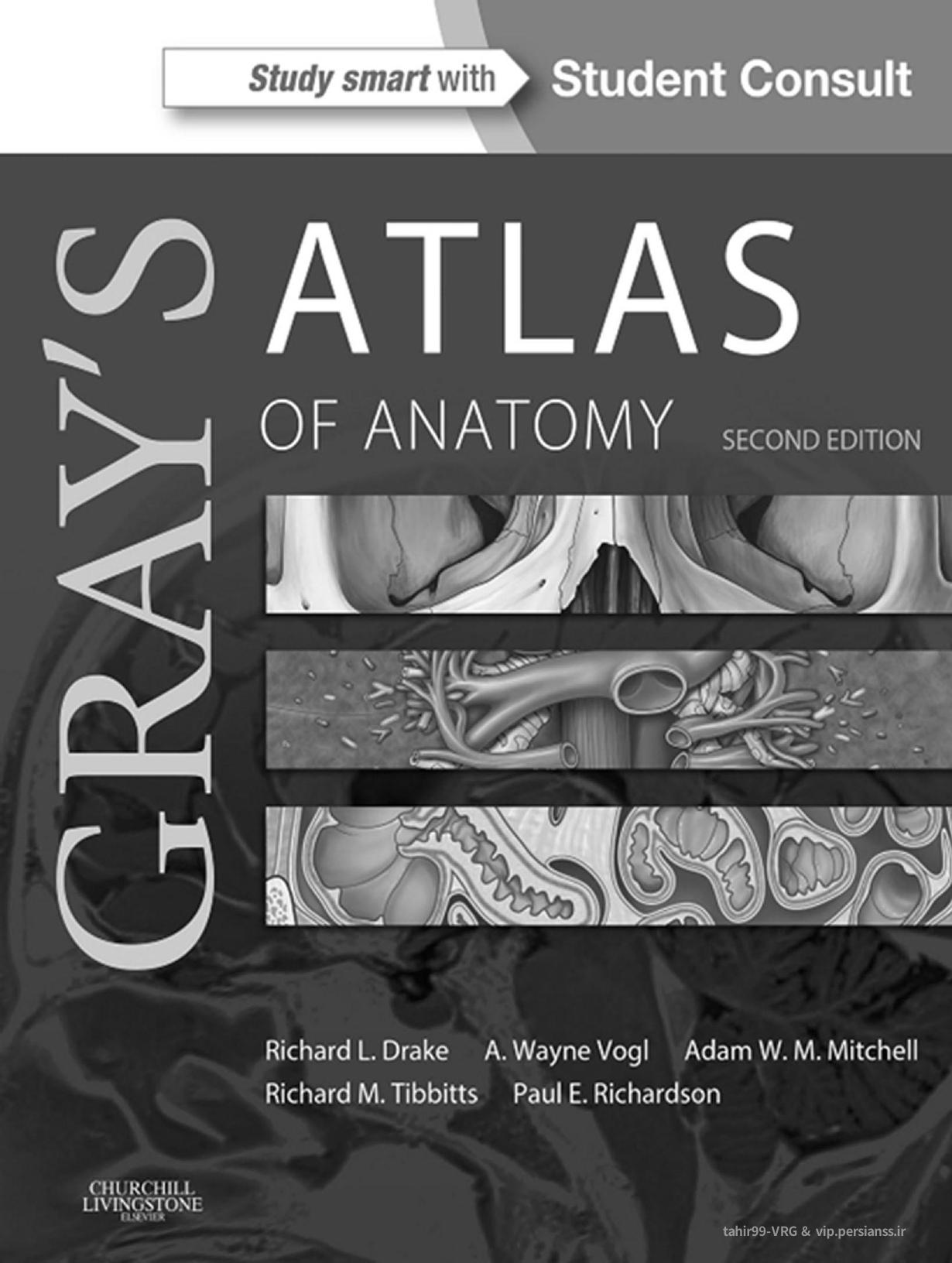 Gray's Atlas of Anatomy by Richardson Paul Drake Richard Vogl A. Wayne Mitchell Adam W. M. Tibbitts Richard