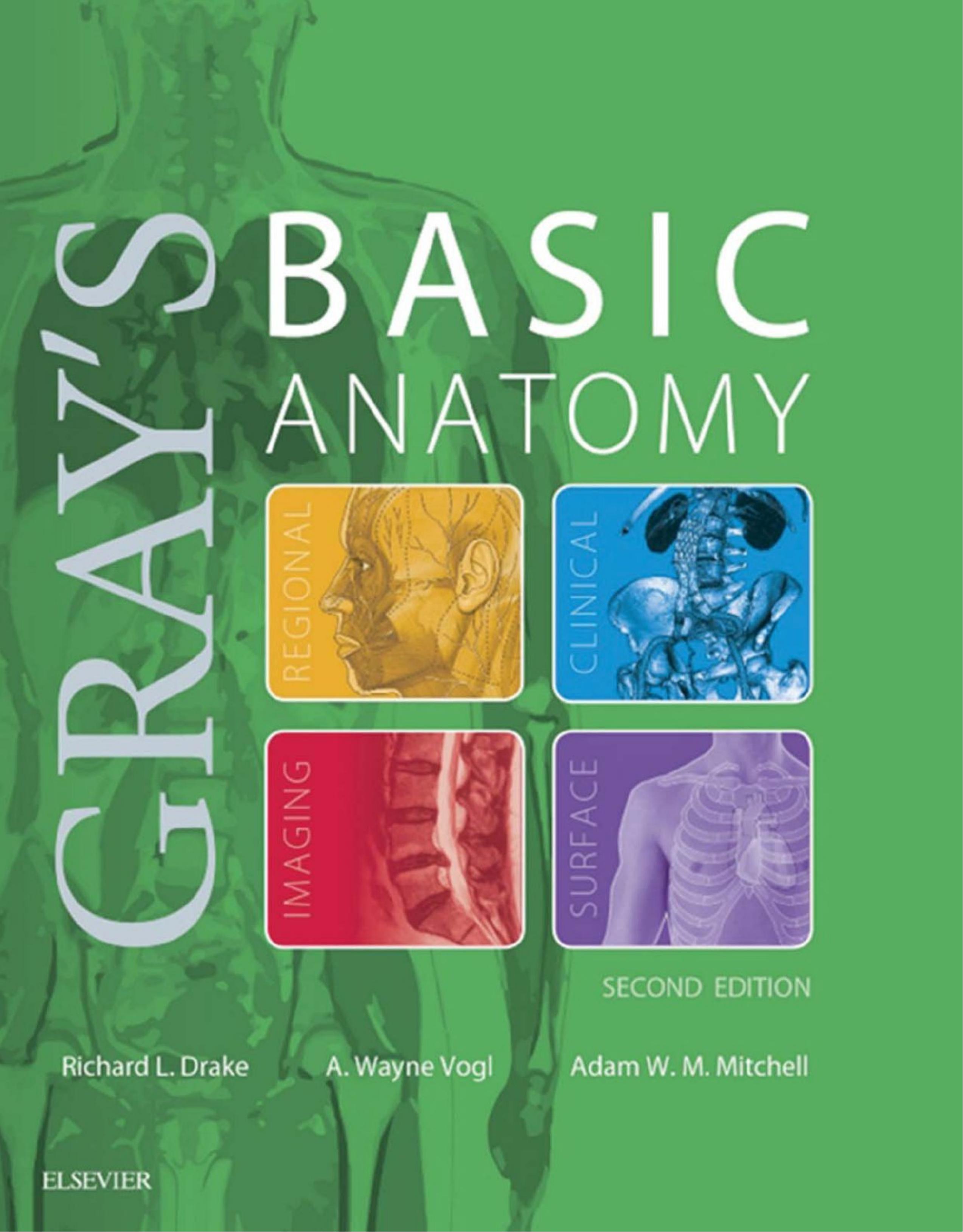 Gray's Basic Anatomy 2 by Unknown