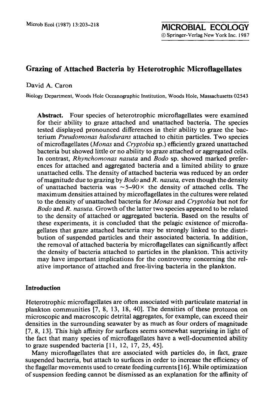 Grazing of attached bacteria by heterotrophic microflagellates by Unknown