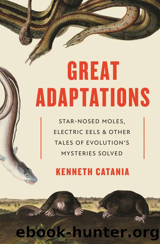 Great Adaptations: Star-Nosed Moles, Electric Eels, and Other Tales of Evolution’s Mysteries Solved by Kenneth Catania