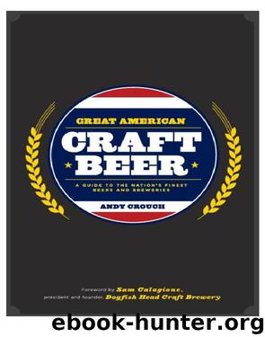 Great American Craft Beer by Andy Crouch