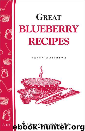 Great Blueberry Recipes by Karen Matthews