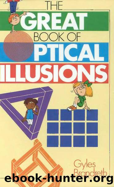 Great Book Of Optical Illusions by Unknown
