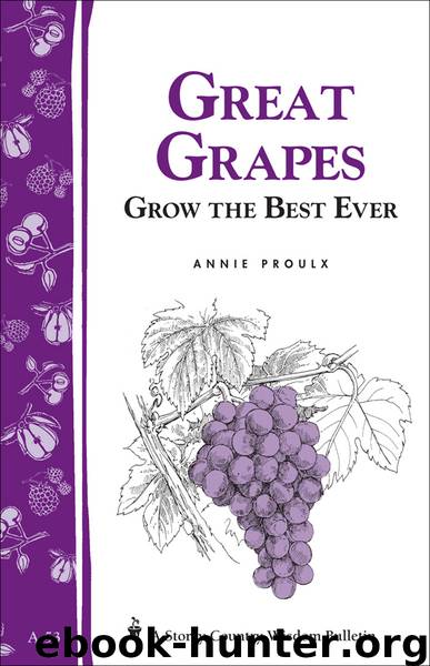 Great Grapes: Grow the Best Ever by Annie Proulx