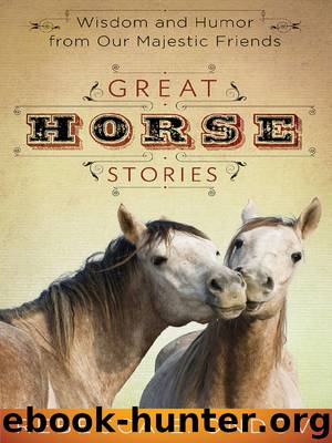 Great Horse Stories by Rebecca E. Ondov