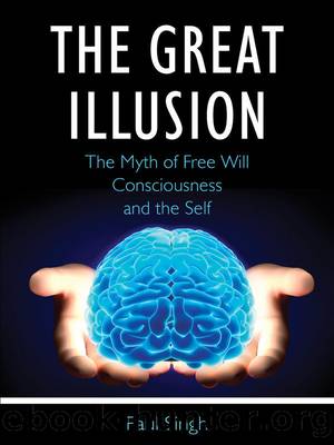 Great Illusion by Paul Singh