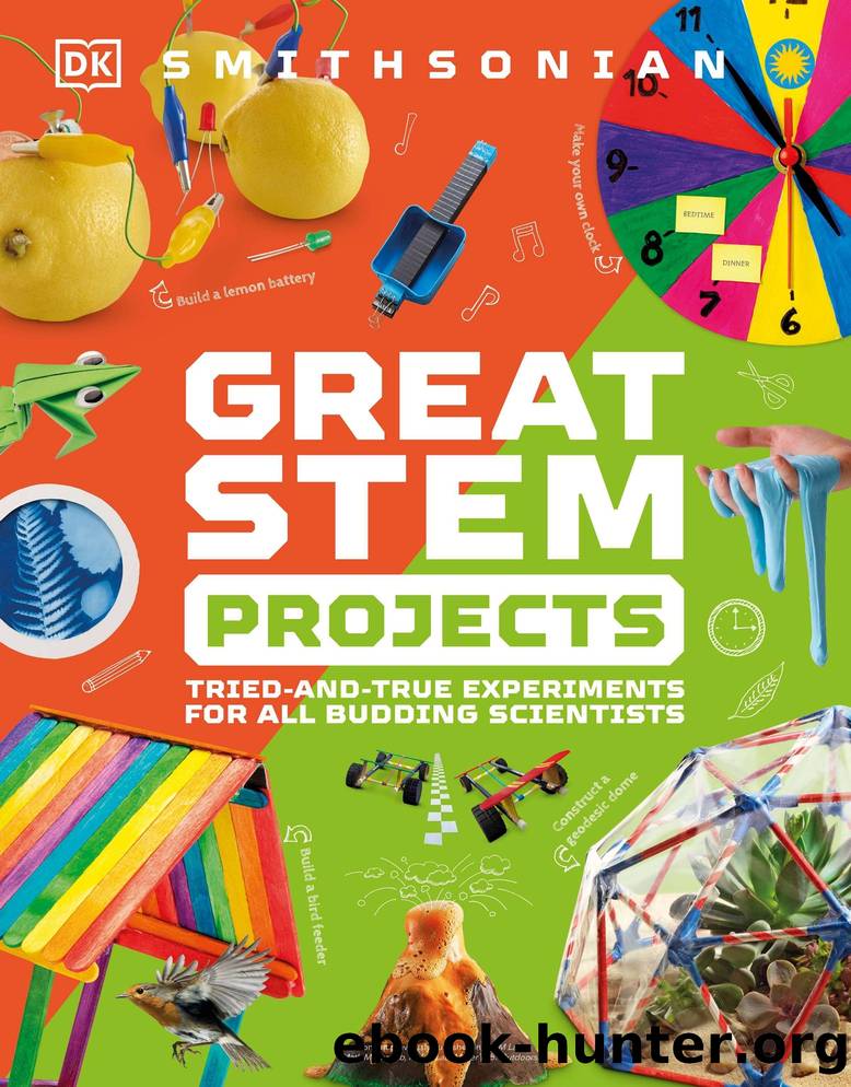 Great Science Projects: Tried and Tested Experiments for All Budding Scientists by Dorling Kindersley