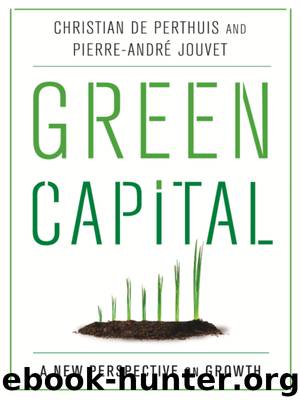 Green Capital: A New Perspective on Growth by Christian de Perthuis Pierre-André Jouvet Michael Westlake