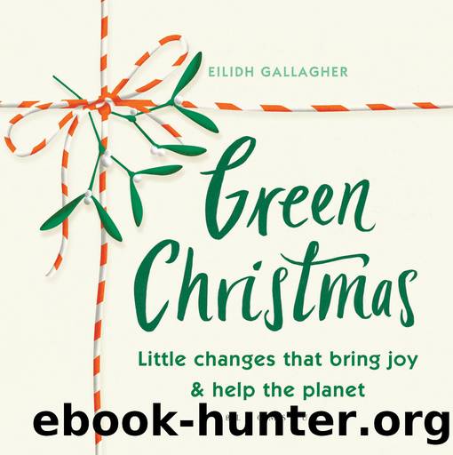 Green Christmas by Eilidh Gallagher