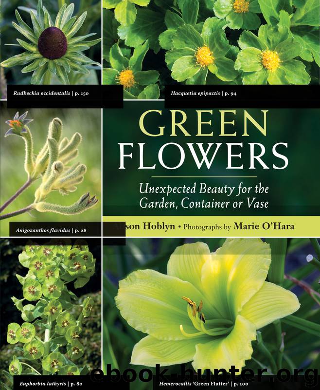 Green Flowers by Alison Hoblyn