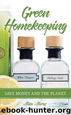 Green Homekeeping by Alice Alvrez