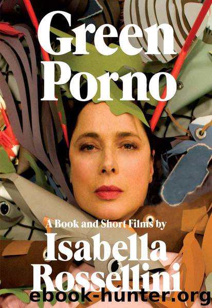 Green Porno by Isabella Rossellini