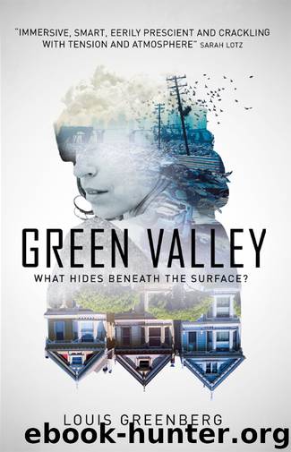 Green Valley by Louis Greenberg