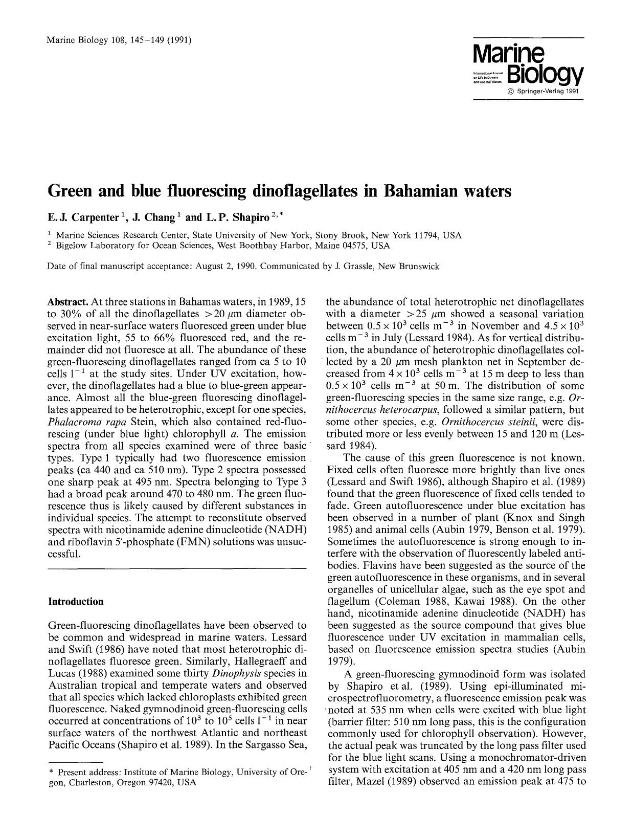 Green and blue fluorescing dinoflagellates in Bahamian waters by Unknown