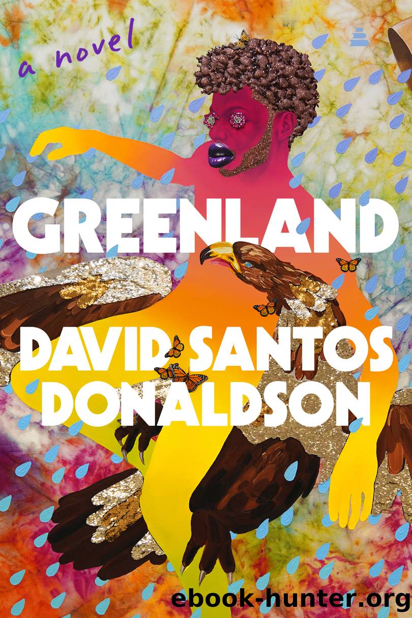Greenland by David Santos Donaldson