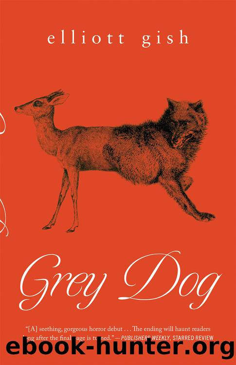 Grey Dog by Elliott Gish