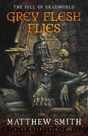 Grey Flesh Flies by Matthew Smith